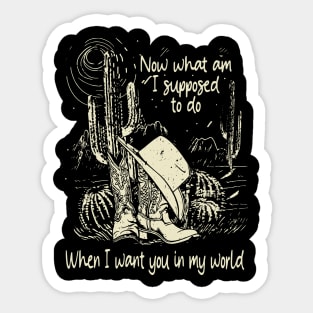 Now What Am I Supposed To Do When I Want You In My World Hat Cactus Desert Westerns Sticker